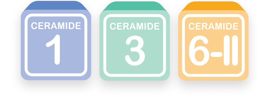 Ceramide routine